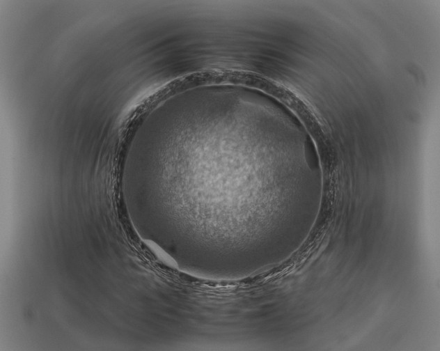 X0000113590919200909251132