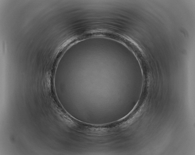 X0000113590921200909251132