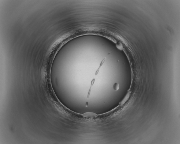 X0000113590922200909251133