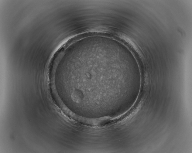 X0000113590923200909251133