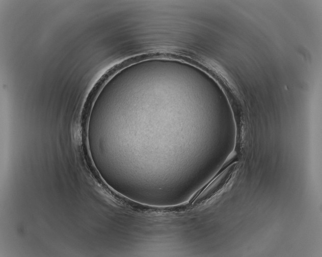 X0000113590924200909251133