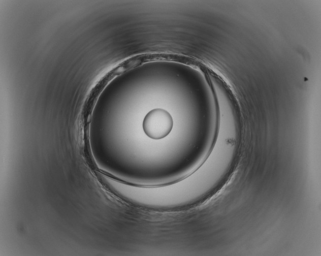 X0000113590925200909251133