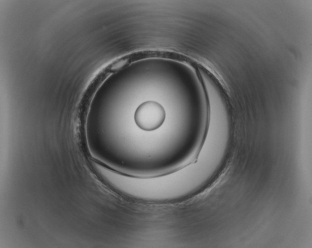 X0000113590926200909251133