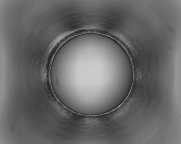 X0000113590927200909251133