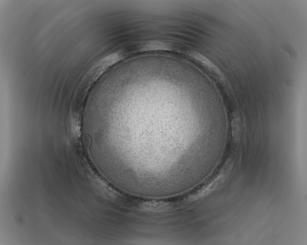 X0000113590929200909251133