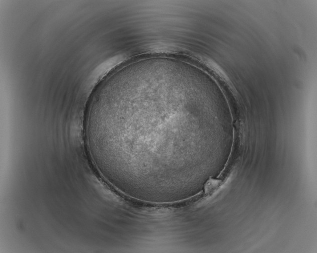 X0000113590930200909251133