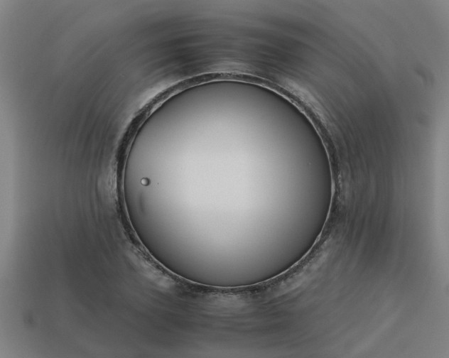 X0000113590931200909251133