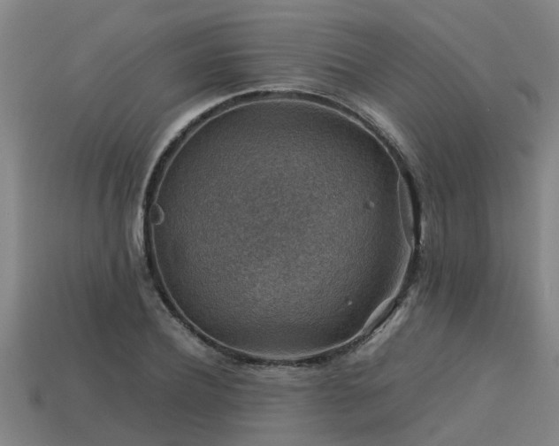 X0000113590932200909251133