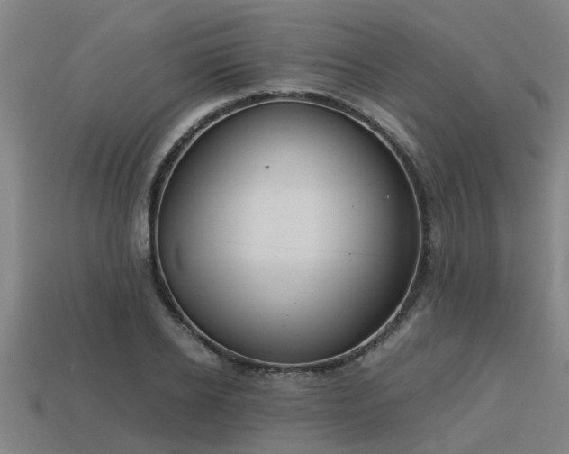 X0000113590934200909251133