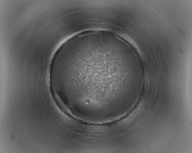 X0000113590935200909251133