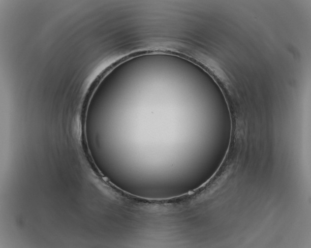 X0000113590936200909251133