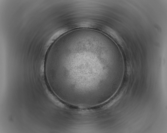 X0000113590938200909251133