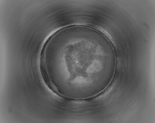 X0000113590939200909251133