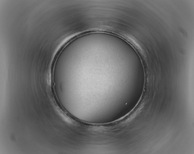 X0000113590940200909251133