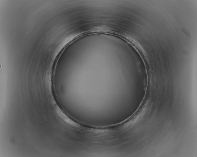 X0000113590941200909251133