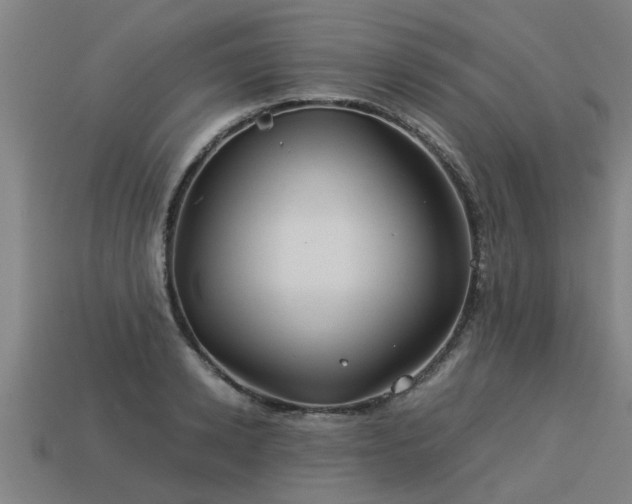 X0000113590942200909251133