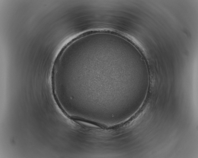 X0000113590943200909251133