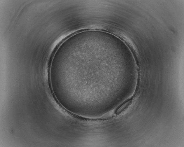 X0000113590944200909251133