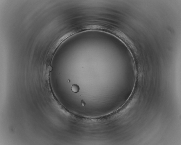 X0000113590945200909251133