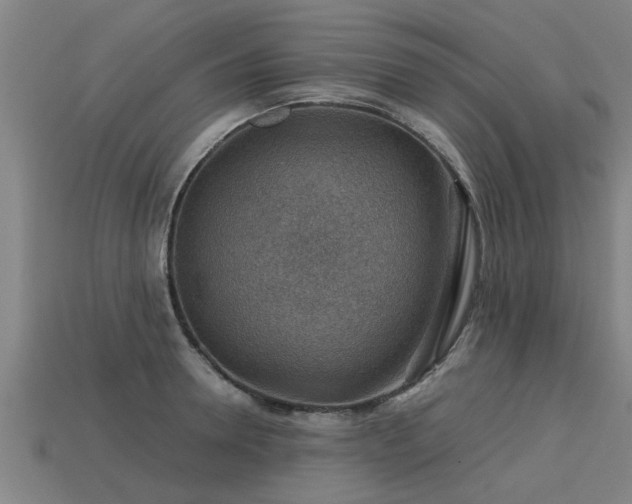 X0000113590946200909251133