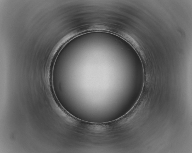 X0000113590947200909251133