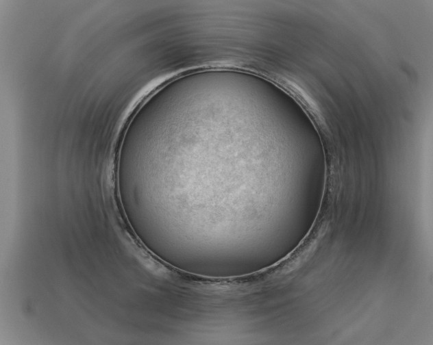 X0000113590948200909251133