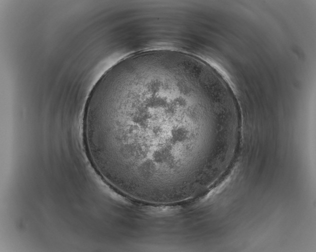 X0000113590949200909251133