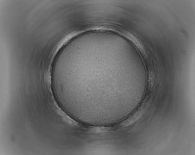 X0000113590950200909251133