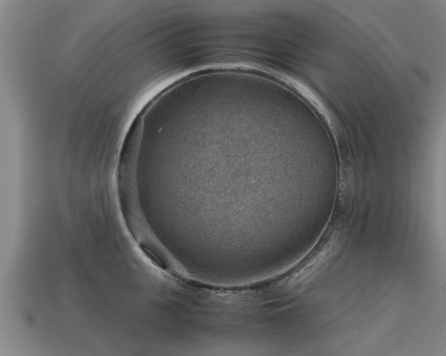 X0000113590951200909251133