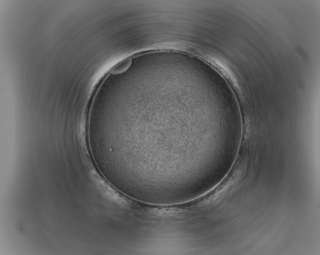 X0000113590952200909251133