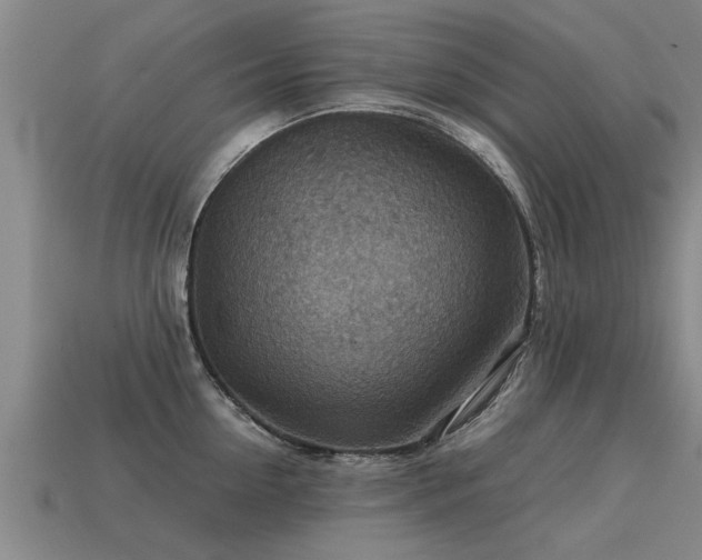 X0000113590954200909251133