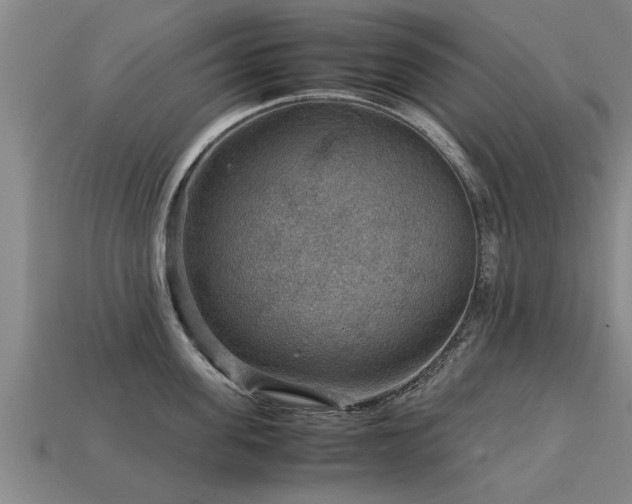 X0000113590955200909251133