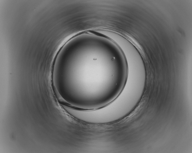 X0000113590956200909251133