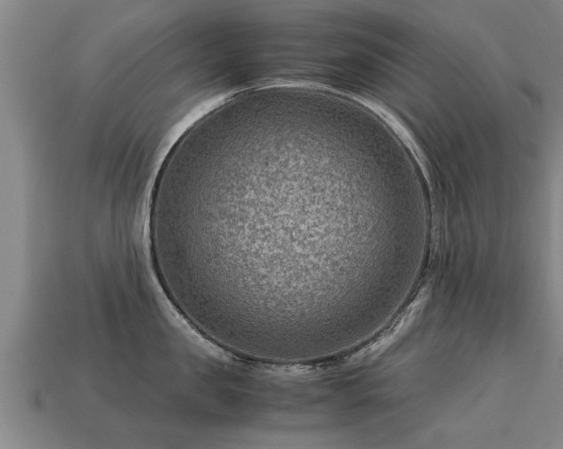 X0000113590957200909251133