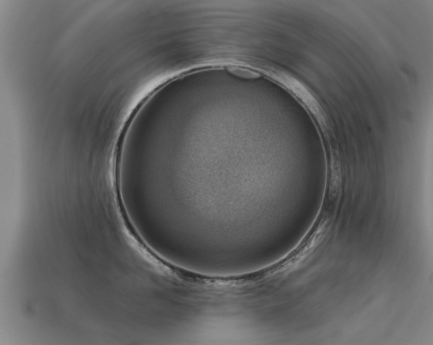 X0000113590958200909251133