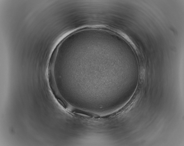 X0000113590959200909251133