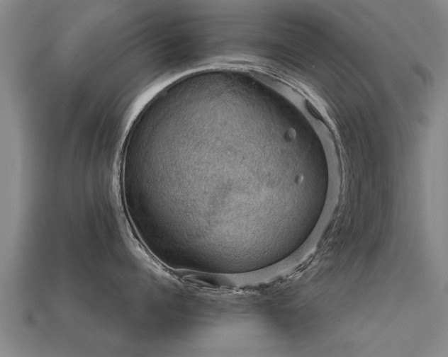 X0000113590960200909251133