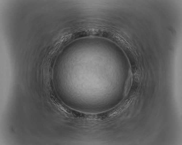 X0000113590961200909251132