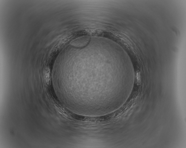 X0000113590963200909251132