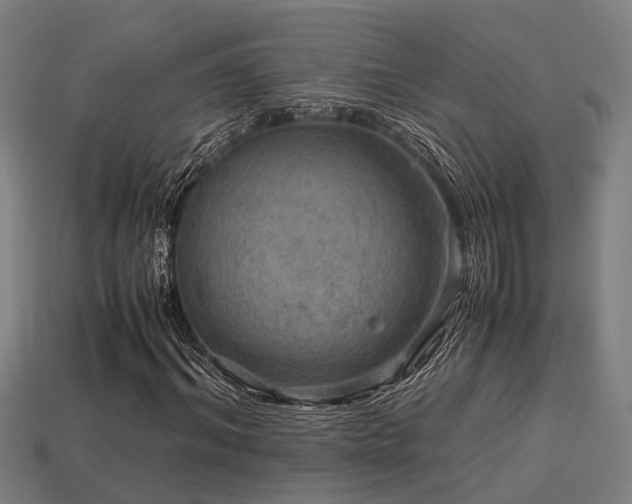 X0000113590964200909251132