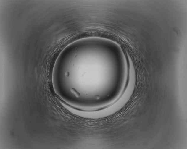 X0000113590965200909251132