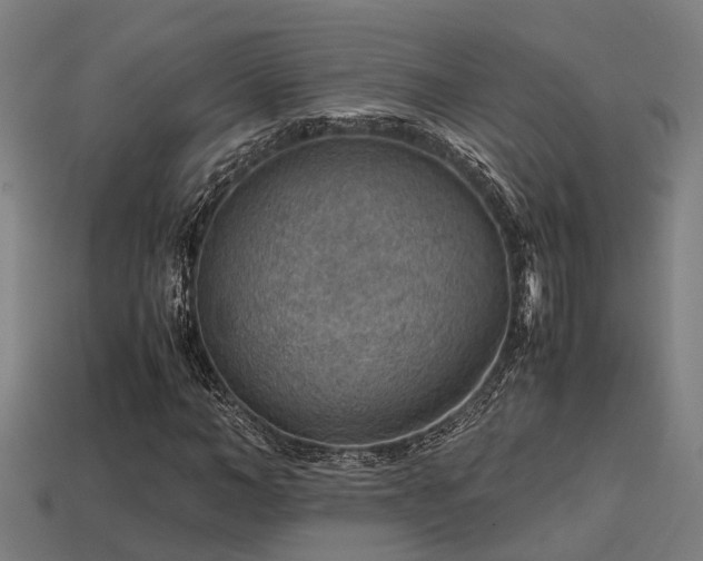 X0000113590966200909251132