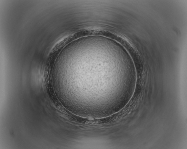 X0000113590967200909251132