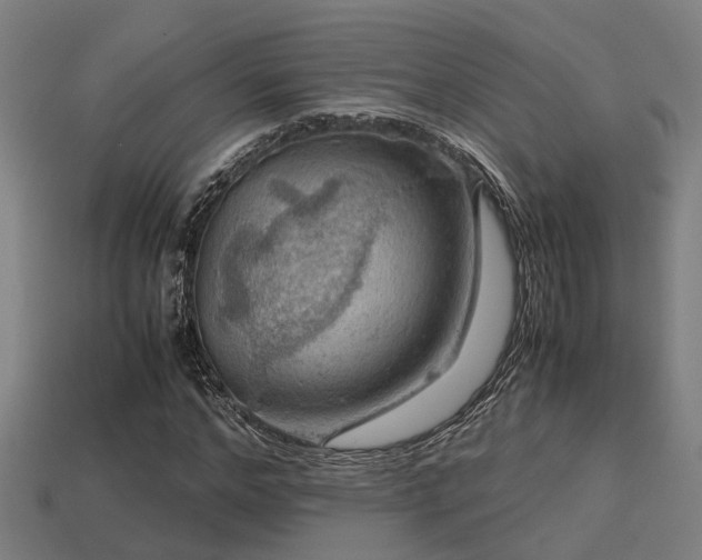 X0000113590968200909251132