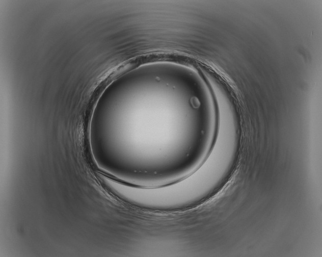 X0000113590969200909251132