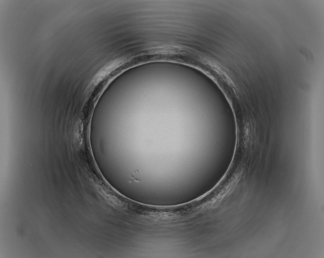 X0000113590970200909251132