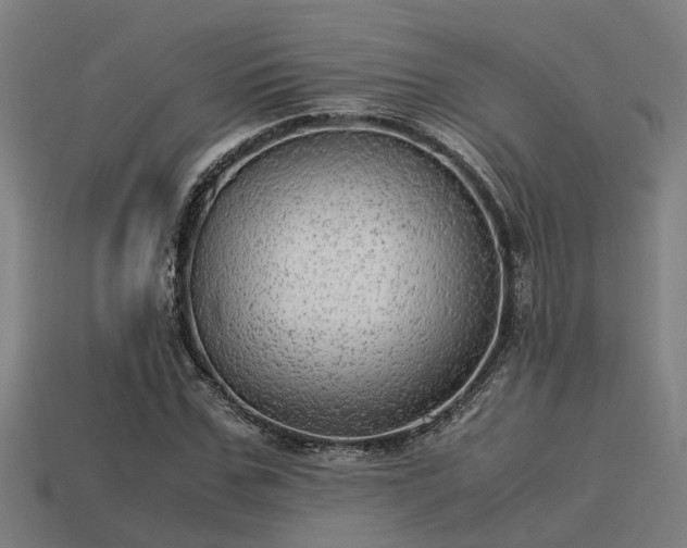 X0000113590971200909251132