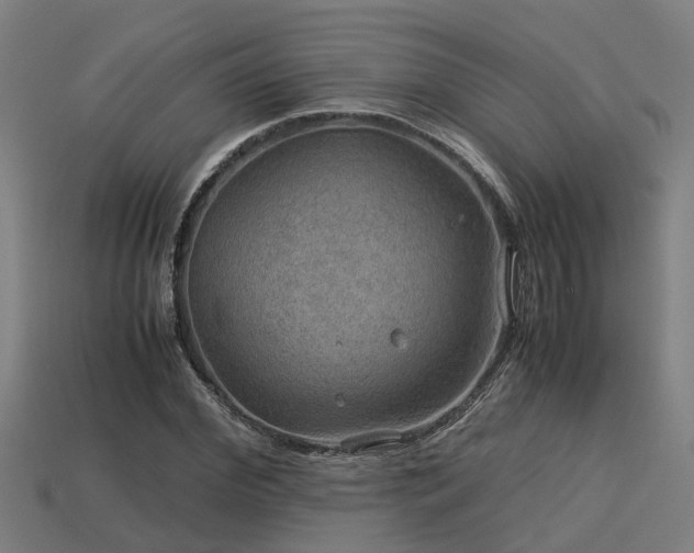 X0000113590972200909251132