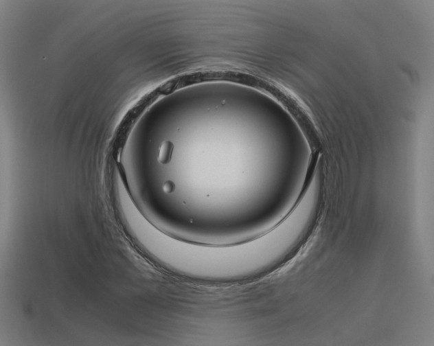 X0000113590973200909251132