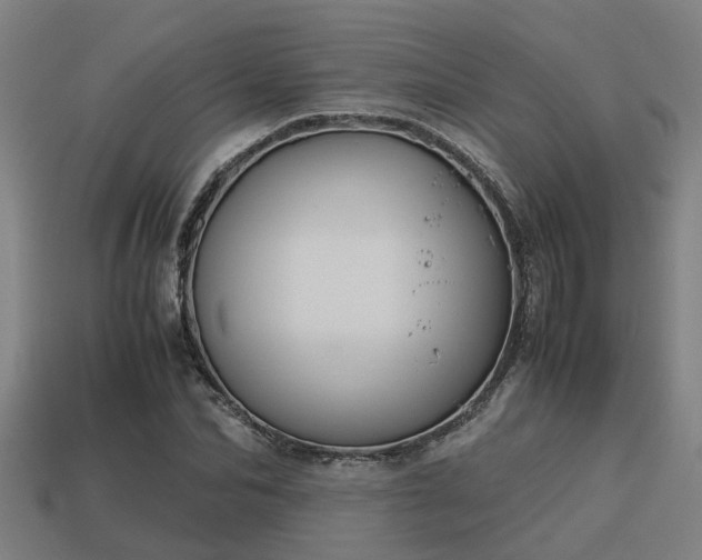 X0000113590974200909251132